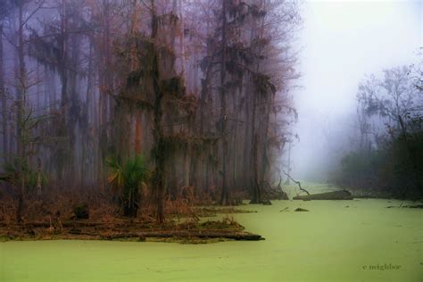 Unlocking the Age-Old Secrets of Voodoo Swamps: Uncovering their Hidden Rituals